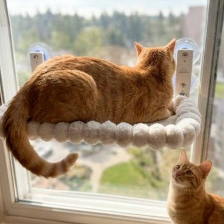 Cat Hammock for Window